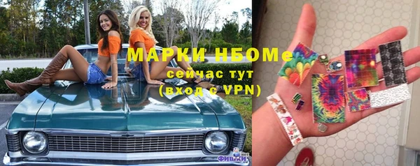 ешки Бородино